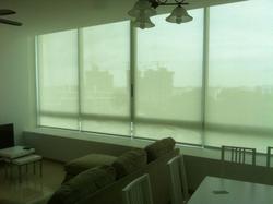 Lush On Holland Hill (D10), Condominium #110761732